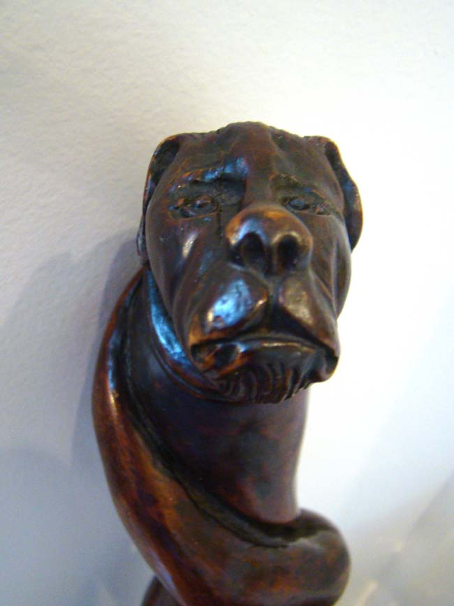 A fabulous 19th century carved walking stick with dog's head knob circa 1875 — image 4